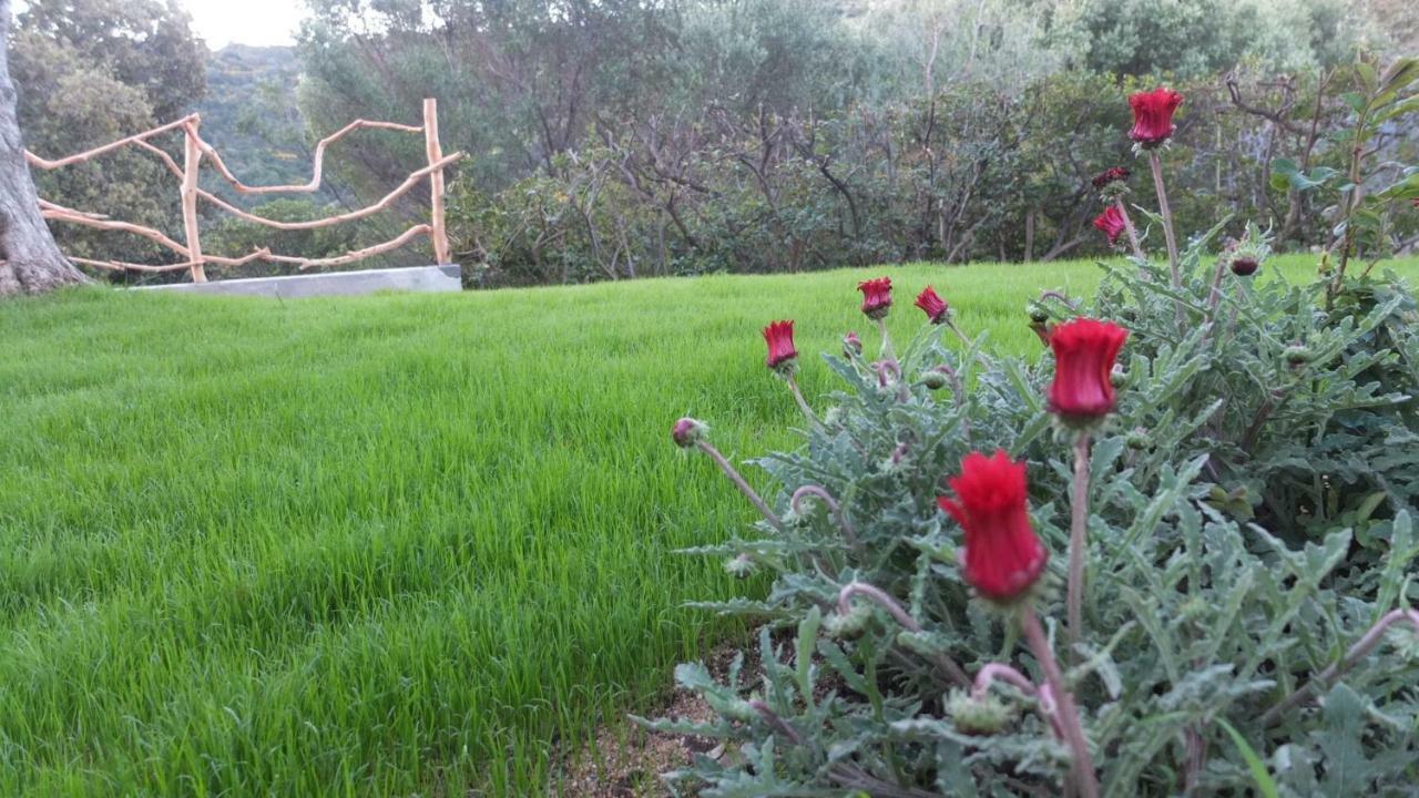סיניסקולה Suite Cucinino, Bagno, Ingresso Indipendente In" Villa Vivi" מראה חיצוני תמונה