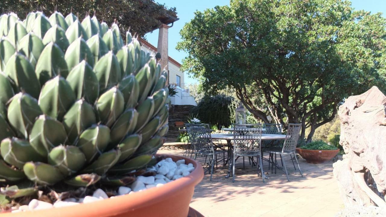 סיניסקולה Suite Cucinino, Bagno, Ingresso Indipendente In" Villa Vivi" מראה חיצוני תמונה